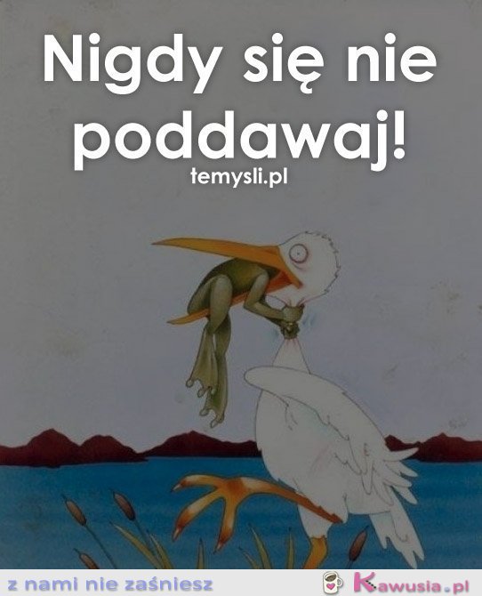 Nigdy się nie poddawaj