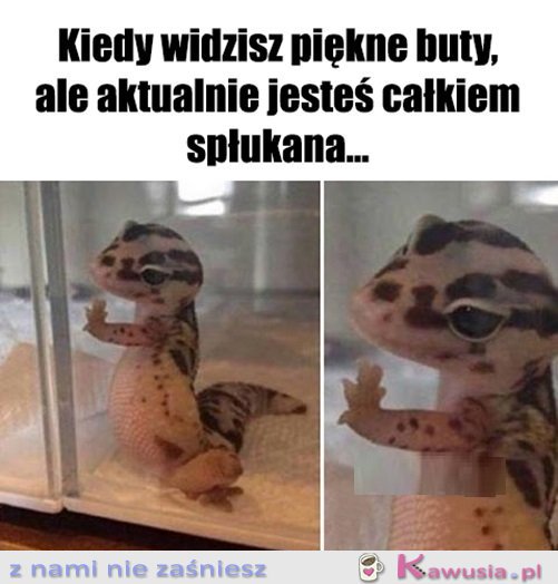 Już was nigdy nie zobaczę...