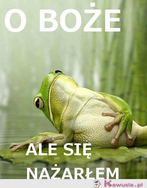 Ale się nażarłam