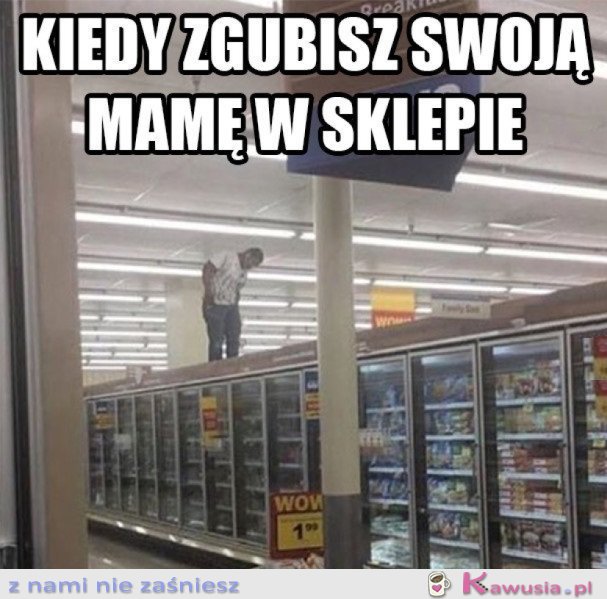 PANIKA TOTALNA