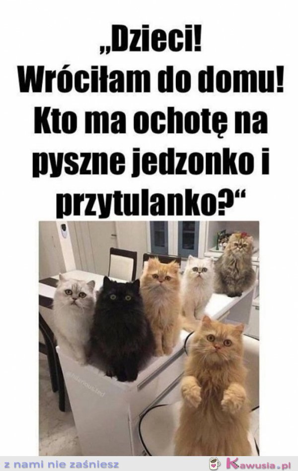 Dzieci, wr&oacute;ciłam do domu
