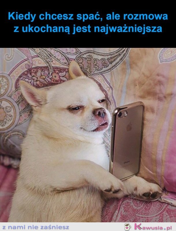 NIE MA ŻE BOLI