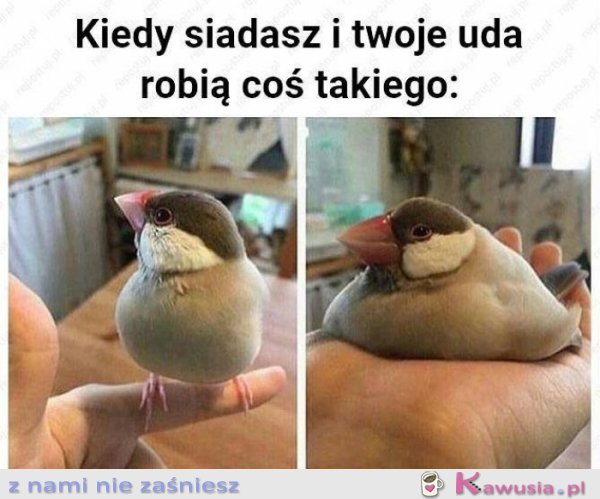 Kiedy siadasz i twoje uda