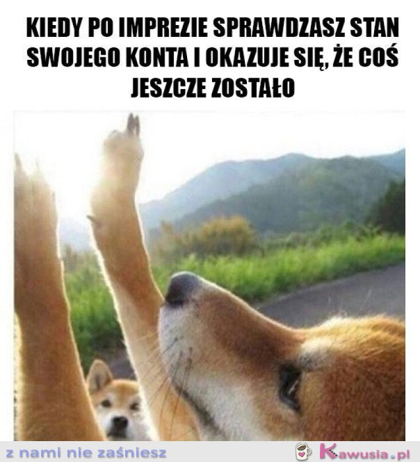 JESZCZE JEST ODROBINA KASY