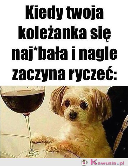 Zaczęło się...