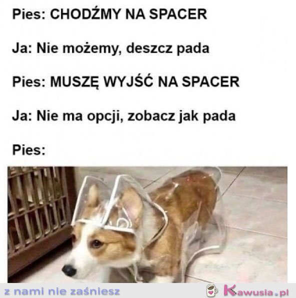 Chodźmy na spacer