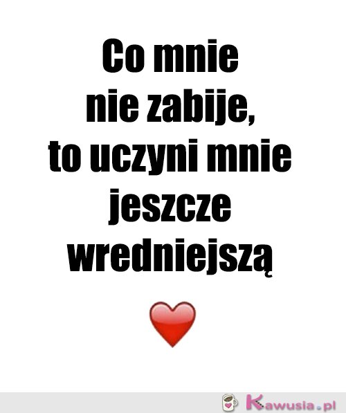 Moje motto...