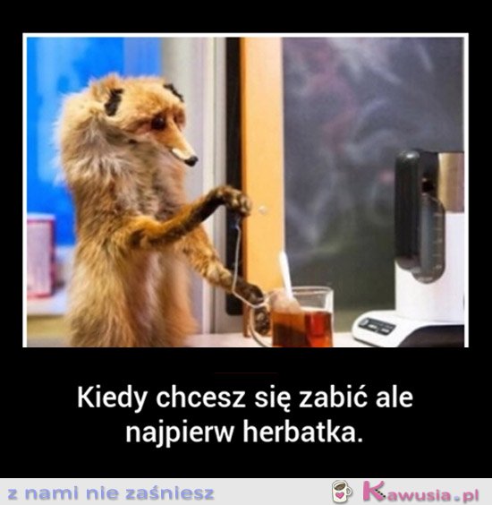 Jeszcze tylko herbatka