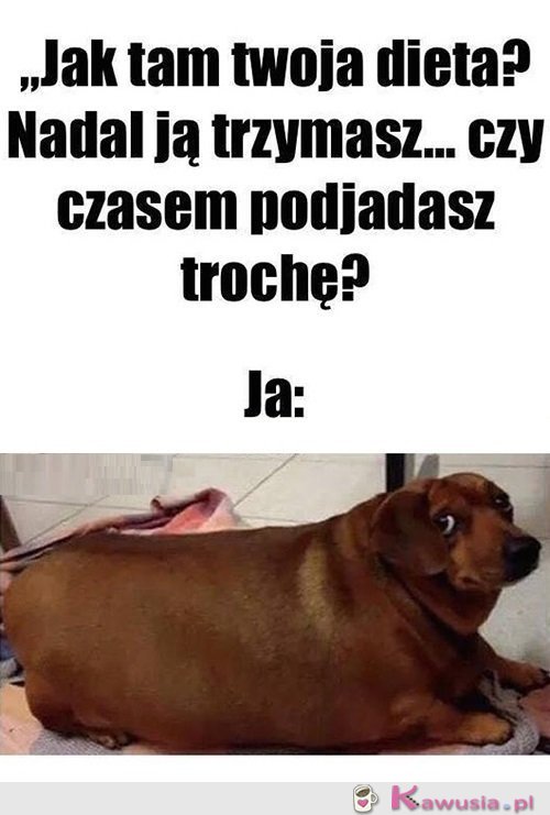 Żartujesz