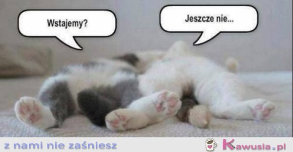 Wstajemy?
