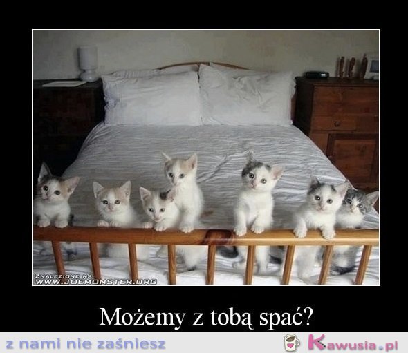 Możemy?