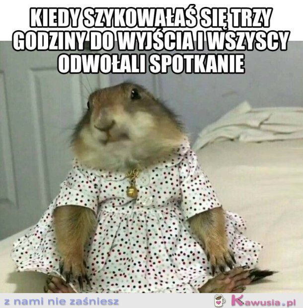 JAK MOGLI MI TO ZROBIĆ?...