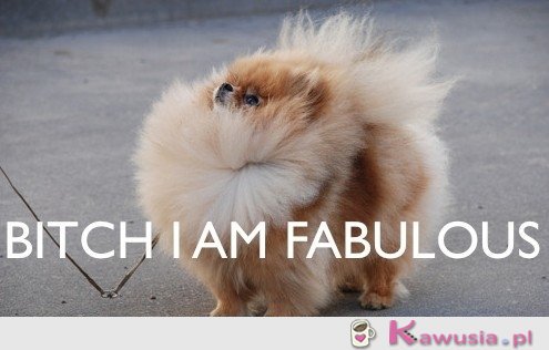 I'm fabulous