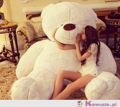 Kto chce takiego misia?
