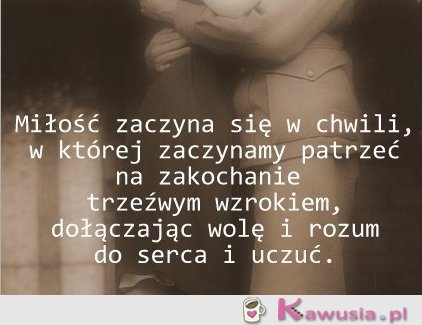 Miłość zaczyna się w chwili..