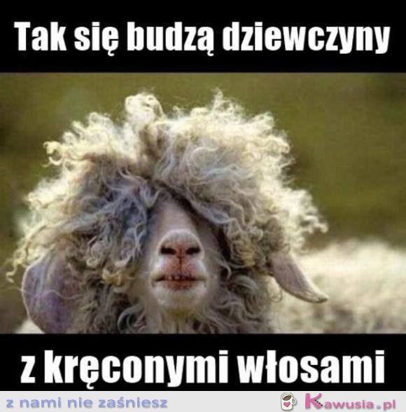 Dziewczyny z kręconymi włosami