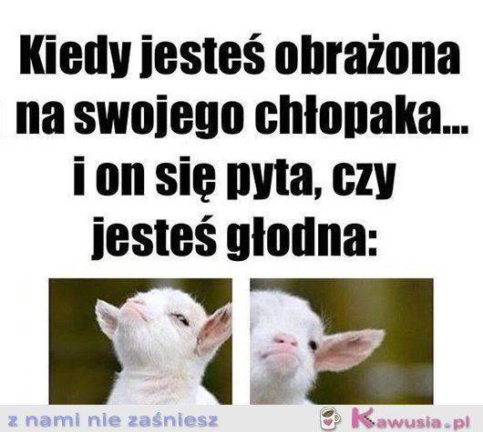 Dawaj to jedzenie!