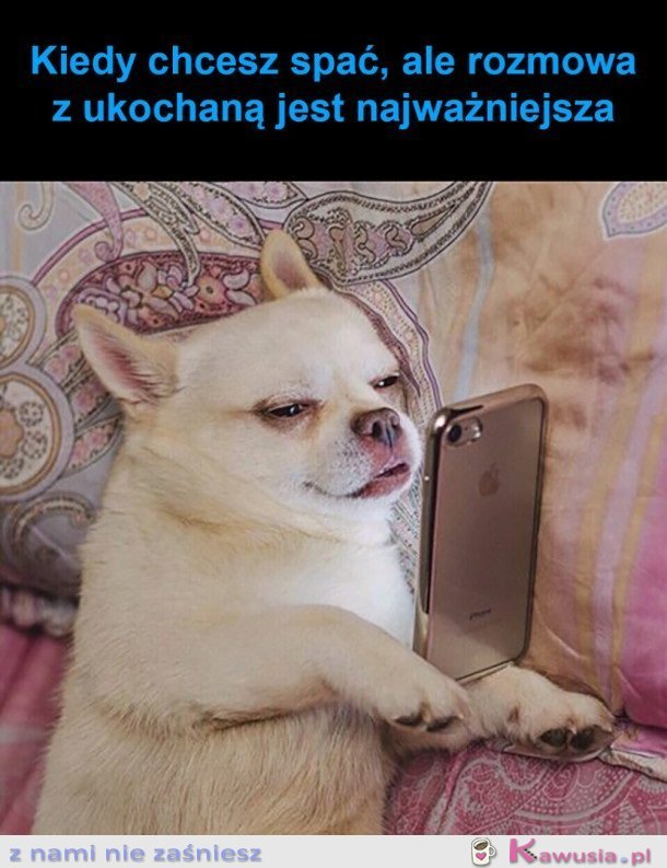 NIE MA ŻE BOLI