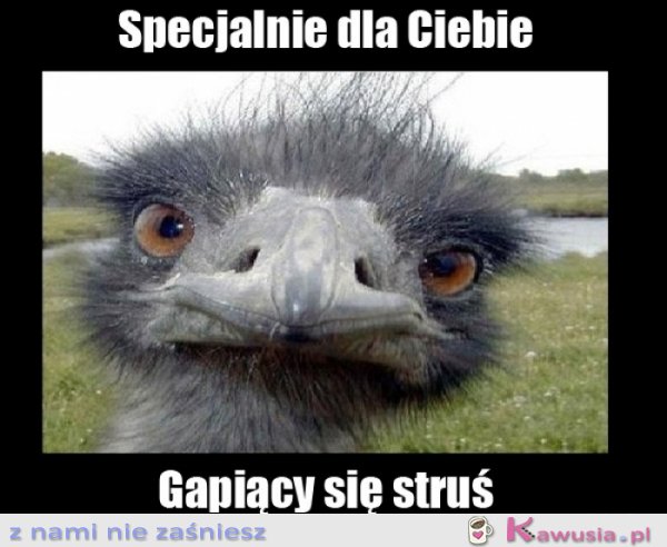 Specjalnie dla Ciebie