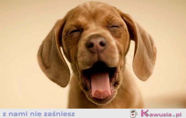 Aż chce się ziewać