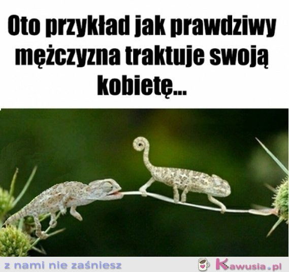 Patrzcie i uczcie się Panowie...