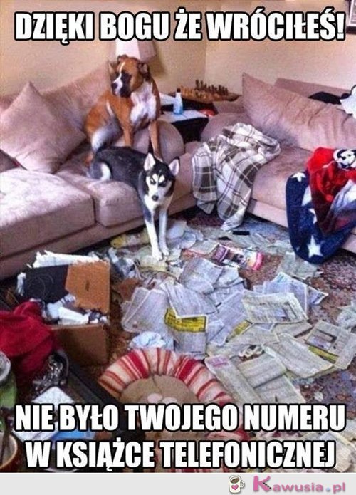 Przeszukaliśmy caluśką...