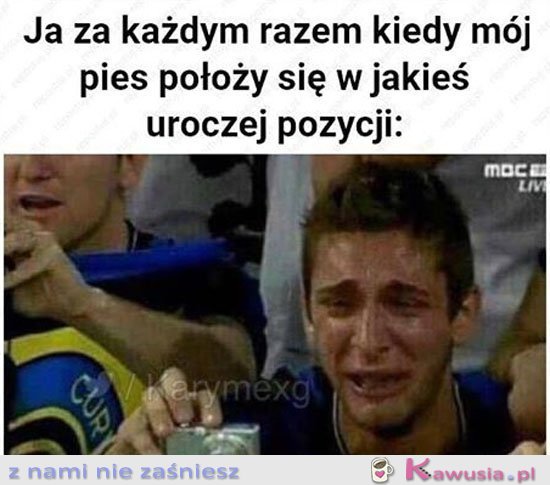 Mój piesek jest taki słodki