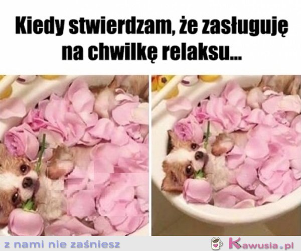 Się należy, a co...