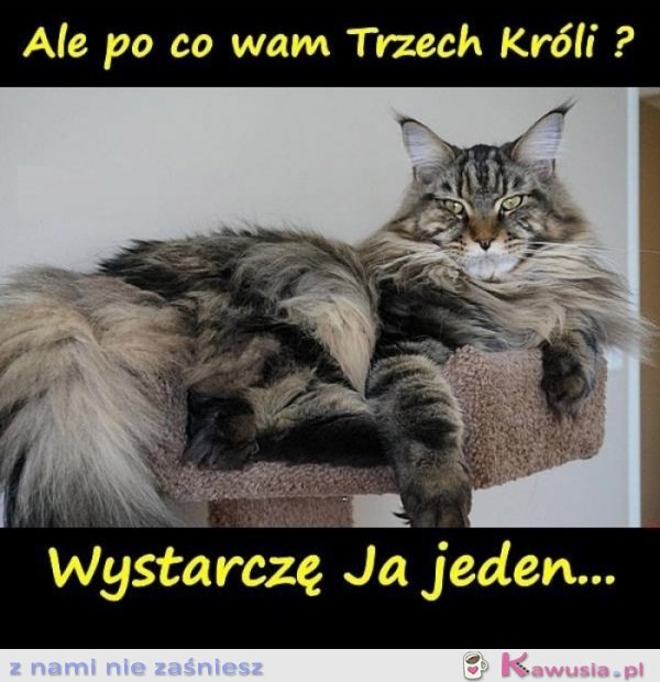 Przecież ja jestem królem