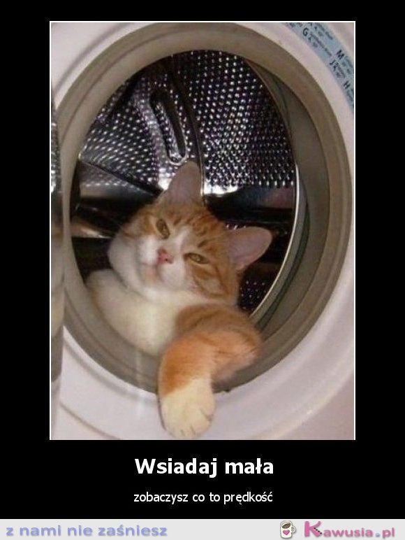 Wsiadaj mała...