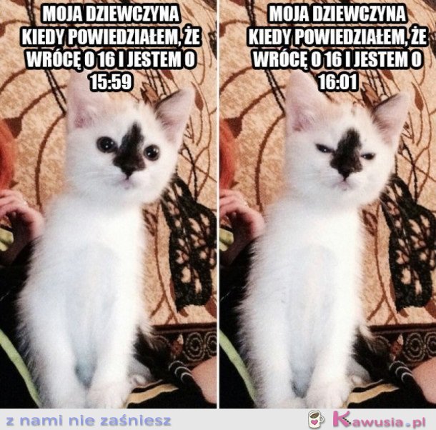Różne oblicza
