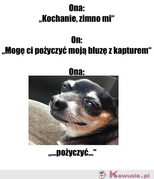 Już jej nie odzyskasz...