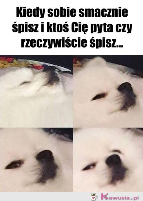 Nie wcale, udaję sobie...