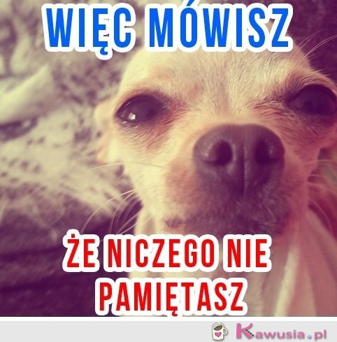 Typowa kobieta