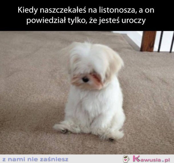 TO UCZUCIE