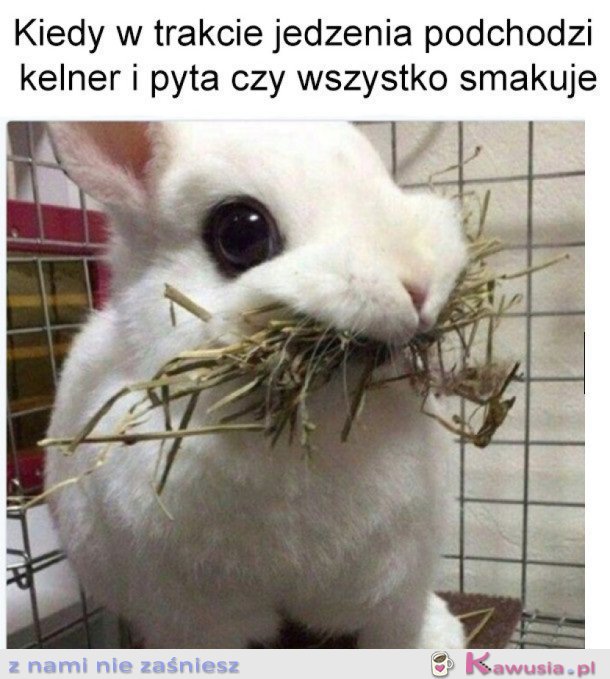 Kiedy jesz i podchodzi z kelner