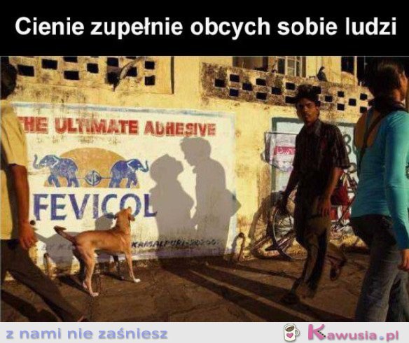 FAJNIE UŁOŻONE