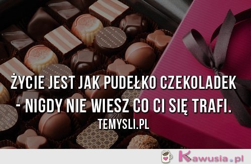 Życie jest jak pudełko czekoladek