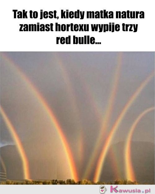 Tak to się kończy..