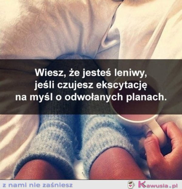 Wiesz, że jesteś leniwy jeśli