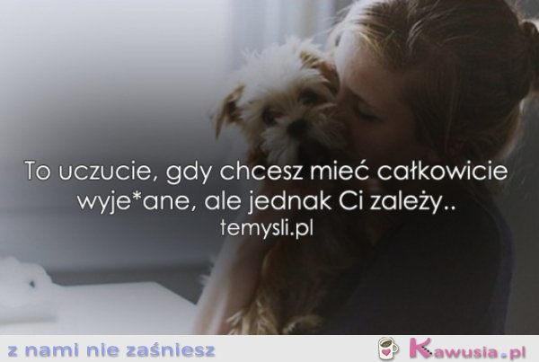 To uczucie, gdy chcesz mieć...