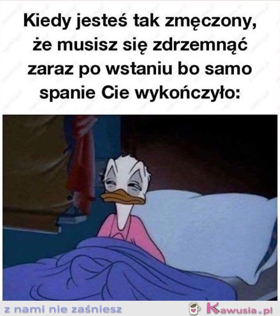 Muszę się położyć spać