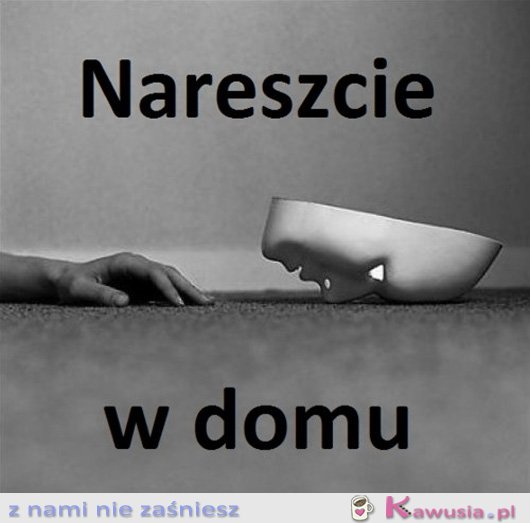 Nareszcie w domu