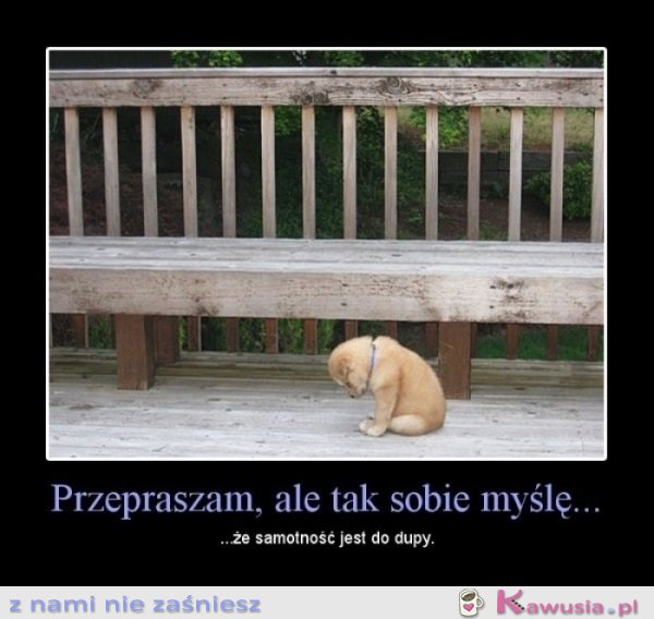 Samotność