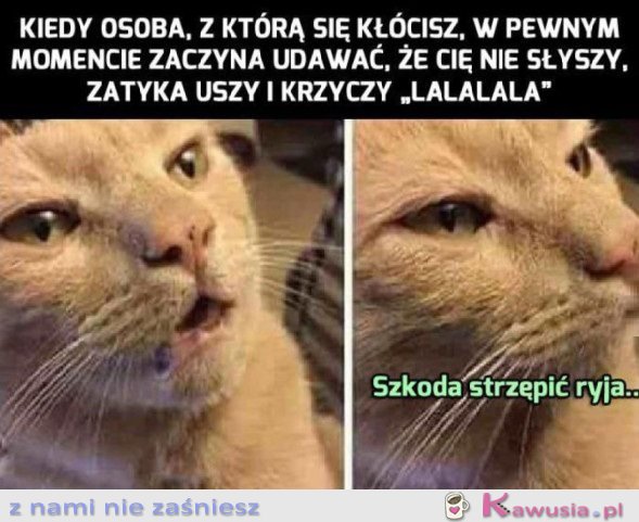 DYSKUSJA NIE MA SENSU