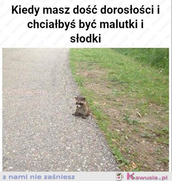 Kiedy masz dość dorosłości