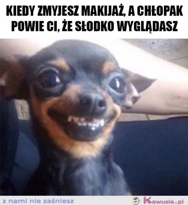 OJEJ JAK SŁODKO
