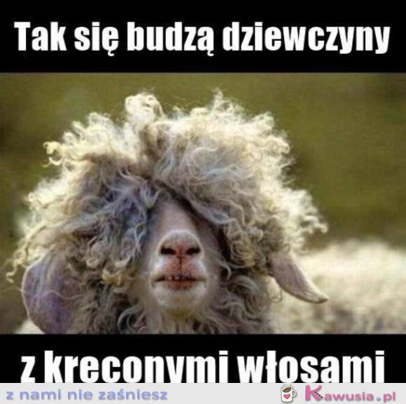 Dziewczyny z kręconymi włosami