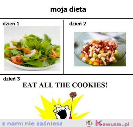 Moja dieta