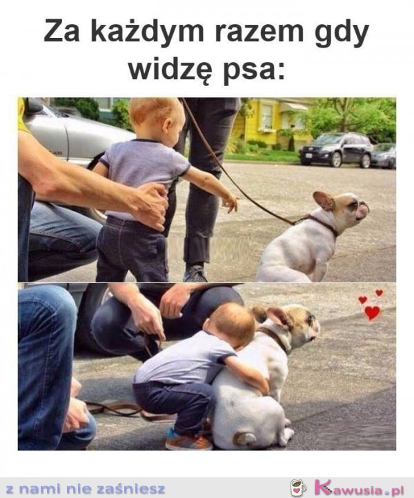 Za każdym razem kiedy widzę psa